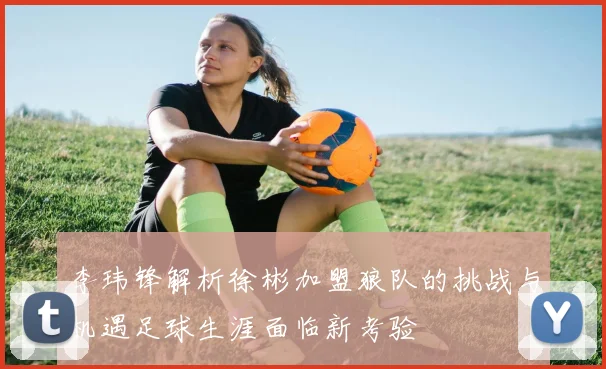 李玮锋解析徐彬加盟狼队的挑战与机遇足球生涯面临新考验