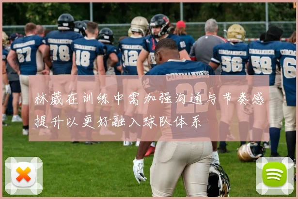 林葳在训练中需加强沟通与节奏感提升以更好融入球队体系