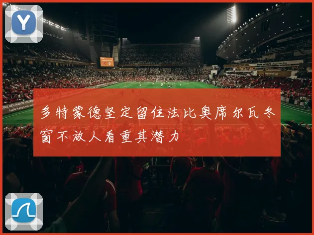 多特蒙德坚定留住法比奥席尔瓦冬窗不放人看重其潜力