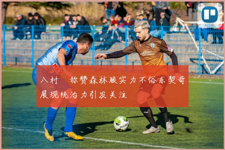 八村塁称赞森林狼实力不俗东契奇展现统治力引发关注