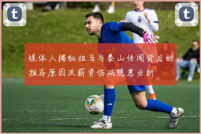 媒体人揭秘祖马与泰山传闻背后的推荐原因及薪资伤病隐患分析
